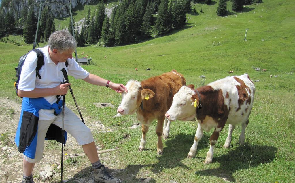 Apartmán Haus Tirol Thiersee Pokoj fotografie